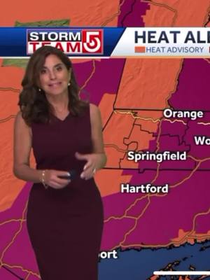 Record breaking week for Trash Titans junk removal. We thrive in the heat! #junkremoval #cleaning #satisfying #timelapse #trash #heat #cleanout #cleanouts #trashtitans #business #cleanup #truckwrap #